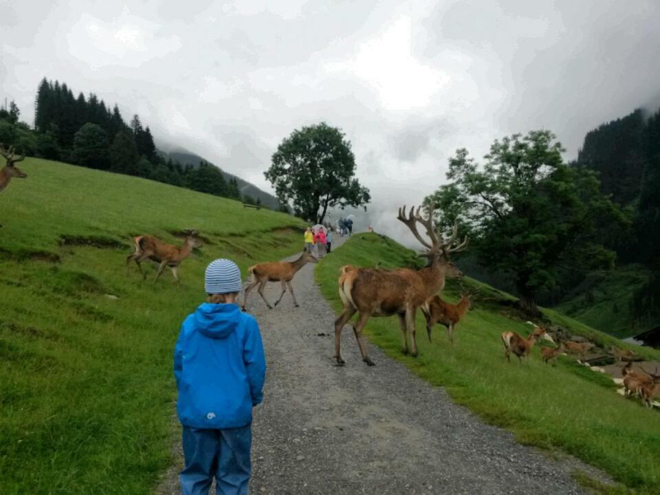 Appartementhaus Bad Salve Hopfgarten im Brixental Dış mekan fotoğraf